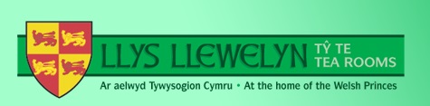 Llys LLewelyn logo